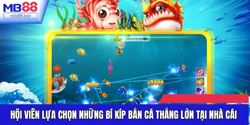 Hội viên lựa chọn những bí kíp bắn cá thắng lớn tại nhà cái