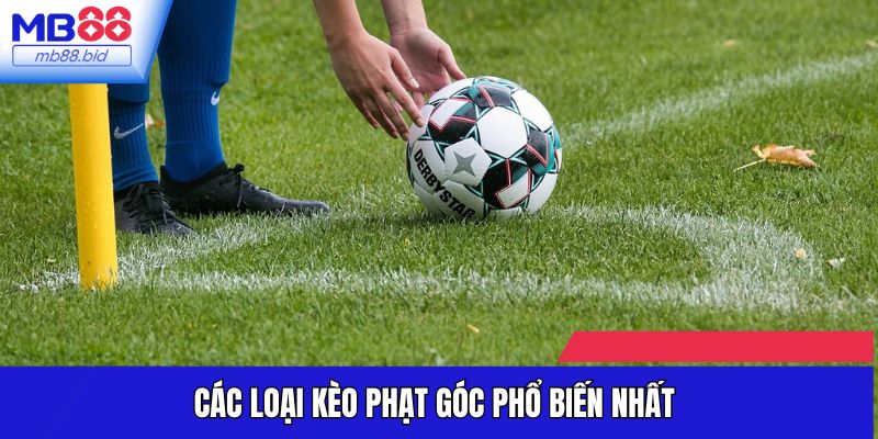 Các loại kèo phạt góc phổ biến nhất