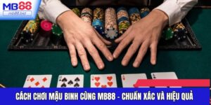 Cách Chơi Mậu Binh Cùng MB88 - Chuẩn Xác Và Hiệu Quả