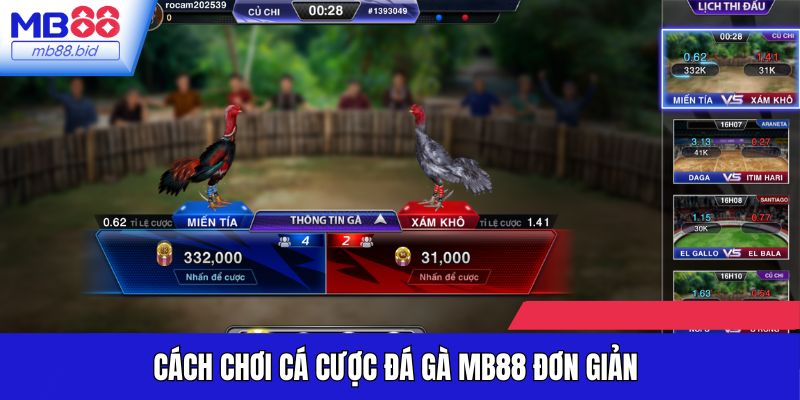 Cách chơi cá cược đá gà tại MB88 đơn giản