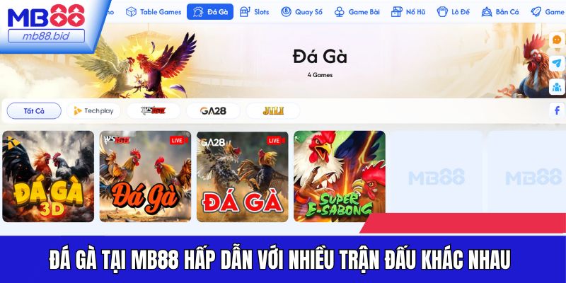 Nhà cái liên kết với nhiều đối tác uy tín cung cấp đá gà ấn tượng