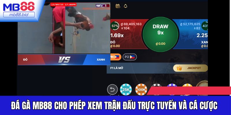 Sảnh Đá gà MB88 cho phép xem trận đấu trực tuyến và cá cược