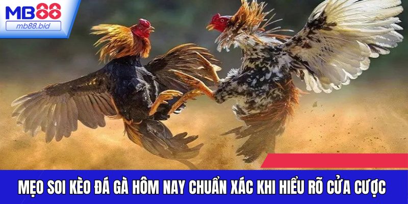 Hiểu rõ cửa cược để đặt tiền thông minh