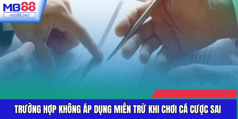 Trường hợp không áp dụng miễn trừ khi chơi cá cược sai