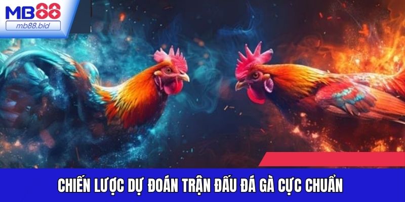 Chiến lược dự đoán trận đấu đá gà cực chuẩn
