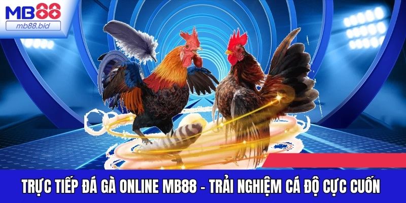 Trực Tiếp Đá Gà Online MB88 - Trải Nghiệm Cá Độ Cực Cuốn